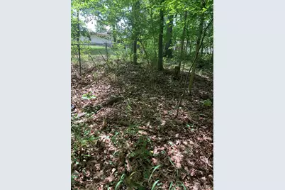 0 Lot 62.01 Acres, Hillsboro, MO 63050 - Photo 46