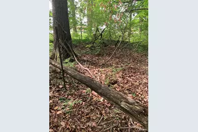0 Lot 62.01 Acres, Hillsboro, MO 63050 - Photo 10