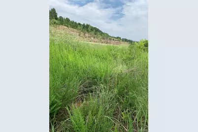 0 Lot 62.01 Acres, Hillsboro, MO 63050 - Photo 36