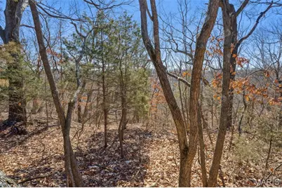0 Wooded Acres Pt Lot 19, Barnhart, MO 63012 - Photo 6