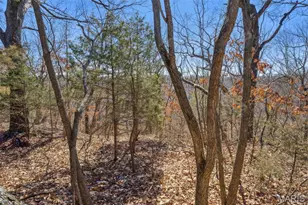 0 Wooded Acres Pt Lot 19, Barnhart, MO 63012 - Photo 6