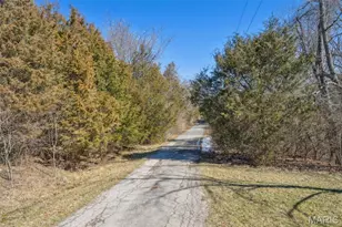 0 Wooded Acres Pt Lot 19, Barnhart, MO 63012 - Photo 10