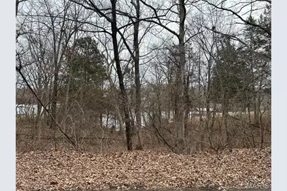 0 Section 5 Lots 10 & 11, De Soto, MO 63020 - Photo 1