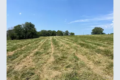 0 Lot 12 Pike 403, Bowling Green, MO 63334 - Photo 1