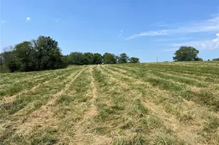 0 Lot 12 Pike 403, Bowling Green, MO 63334 - Photo 1