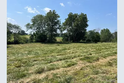 0 Lot 12 Pike 403, Bowling Green, MO 63334 - Photo 2