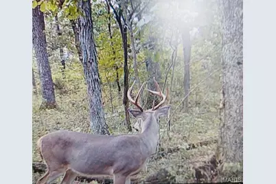 1310 Bluebird Lane, Morrison, MO 65061 - Photo 18