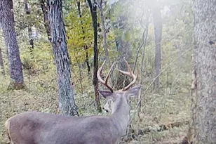 1310 Bluebird Ln, Morrison, MO 65061 - Photo 18