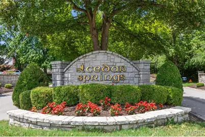 14260 Cedar Springs Drive, Town and Country, MO 63017 - Photo 42