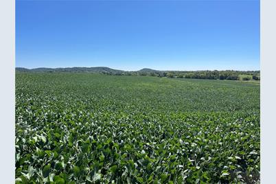 0 Hwy D, Louisiana, MO 63353 - Photo 1