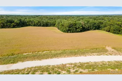 125 Otto Court, Silex, MO 63377 - Photo 12