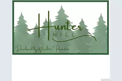 106 Otto Court, Silex, MO 63377 - Photo 26