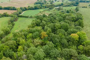 335 W Spring Valley Rd, Jackson, MO 63755 - Photo 16