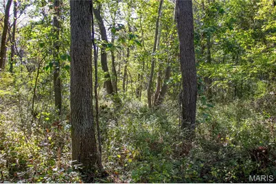 27234 Highway Z, Stanton, MO 63435 - Photo 78