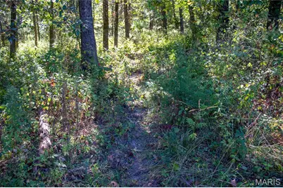 27234 Highway Z, Stanton, MO 63435 - Photo 94