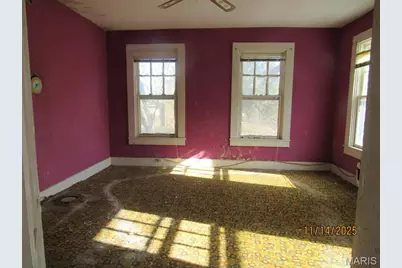 1101 S Carolina Street, Louisiana, MO 63353 - Photo 24