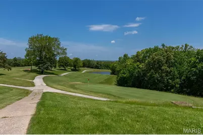 10155 Lake Ridge Drive, Hillsboro, MO 63050 - Photo 8