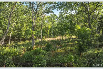 0 Highway B 38, Washington, MO 63638 - Photo 2