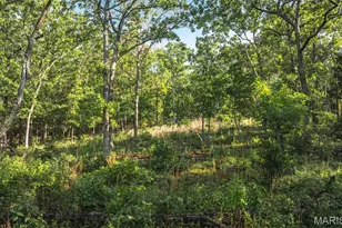 0 Hwy B 38, Washington, MO 63638 - Photo 2