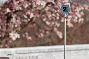 1824 Topping Rd, Saint Louis, MO 63131 - Photo 80