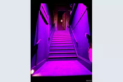 413 Vine Street, Poplar Bluff, MO 63901 - Photo 10