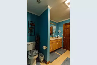 702 S 525th Rd, East Prairie, MO 63845 - Photo 30