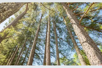 4117 State Highway 21, Grandin, MO 63943 - Photo 22