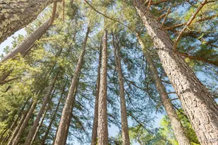 4117 State Hwy 21, Grandin, MO 63943 - Photo 22