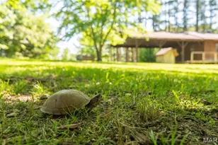 4117 State Hwy 21, Grandin, MO 63943 - Photo 30