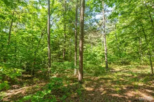 4117 State Hwy 21, Grandin, MO 63943 - Photo 34