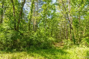 4117 State Hwy 21, Grandin, MO 63943 - Photo 20