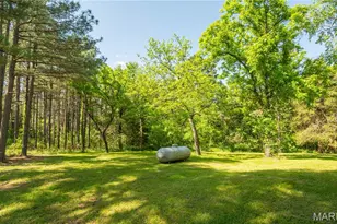 4117 State Hwy 21, Grandin, MO 63943 - Photo 28