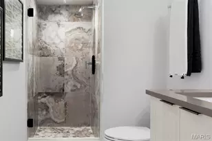 215 N Sarah St, Saint Louis, MO 63108 - Photo 48