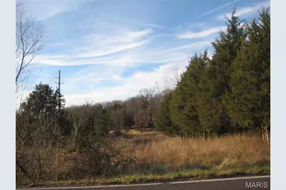 0 Kennett Street, De Soto, MO 63020 - Photo 4