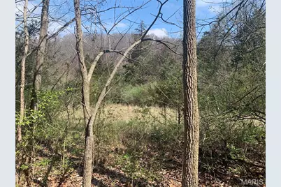 910 Old Eatherton, Wildwood, MO 63038 - Photo 4