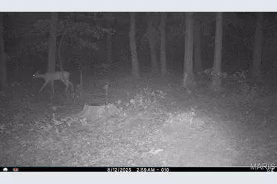 6552 High Point Road, Montreal, MO 65591 - Photo 84