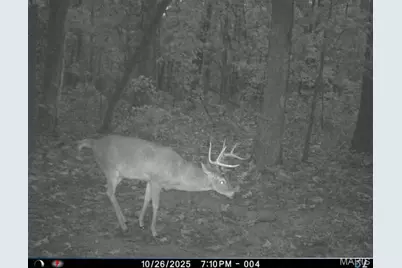 6552 High Point Road, Montreal, MO 65591 - Photo 6