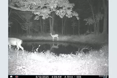 6552 High Point Road, Montreal, MO 65591 - Photo 62