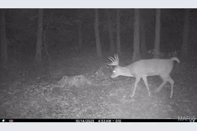 6552 High Point Road, Montreal, MO 65591 - Photo 4