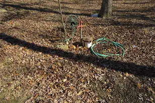 5975 Jakes Prairie Rd, Cuba, MO 65453 - Photo 6