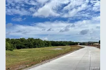 383 Wilmer Meadow Dr., Wentzville, MO 63385 - Photo 4