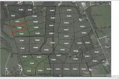 221 Bluegrass Pasture Court, Wentzville, MO 63385 - Photo 4