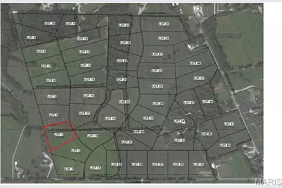 205 Bluegrass Pasture Court, Wentzville, MO 63385 - Photo 4