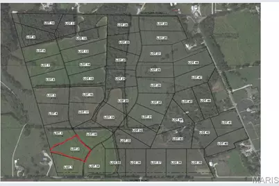 105 Brickyard Pond Court, Wentzville, MO 63385 - Photo 4