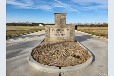 100 Brickyard Pond Court, Wentzville, MO 63385 - Photo 1