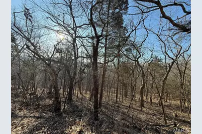 0 Lot 21 Timber Ridge Estates, Pacific, MO 63069 - Photo 6