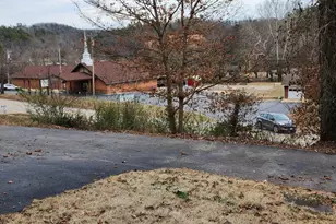 1504 Main St, Van Buren, MO 63965 - Photo 22