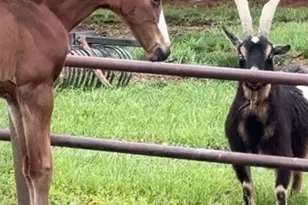 27409 Missouri Dr, Lebanon, MO 65536 - Photo 6