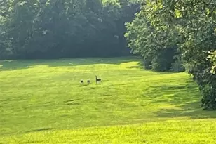 27409 Missouri Dr, Lebanon, MO 65536 - Photo 40