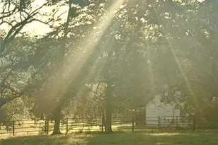 27409 Missouri Dr, Lebanon, MO 65536 - Photo 24